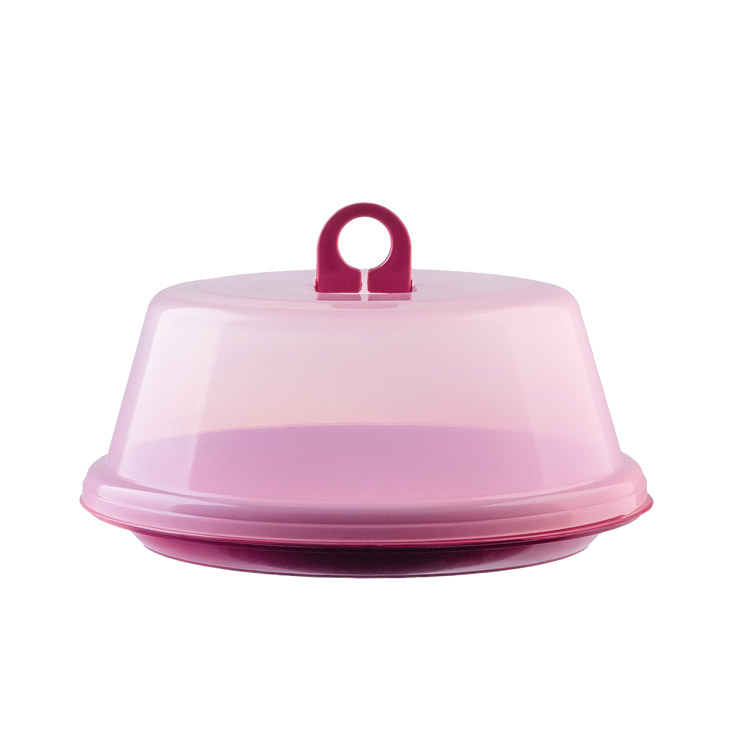Fiesta Cake Tray - CT 507